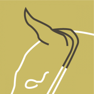 Bridle2Fit | Kopstuk HP-3 trens - Afbeelding 4