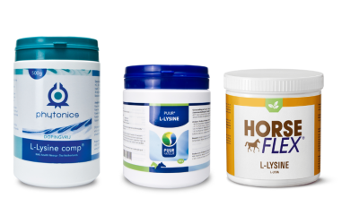 De weerstand van je paard en L-Lysine