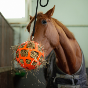 Hooi Slowfeeder fun and flex 20 cm - Afbeelding 6