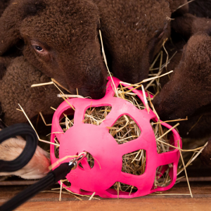 Hooi Slowfeeder fun and flex 20 cm - Afbeelding 7