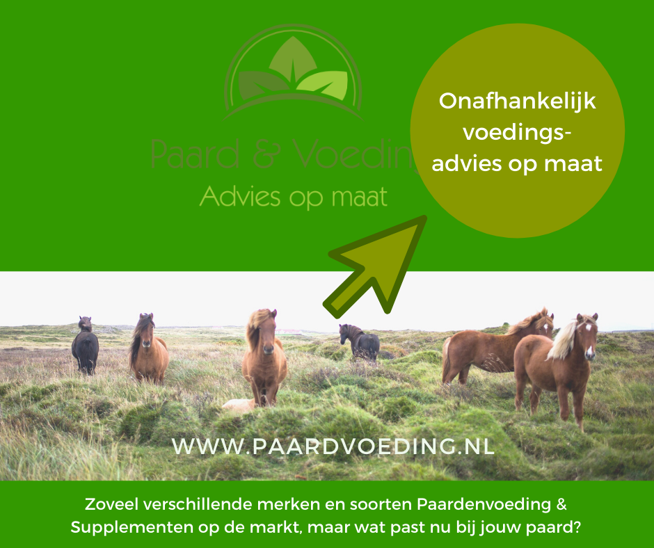 Kopie van Kopie van Groen en Wit Modern Langzaam Leven Gids Presentatie