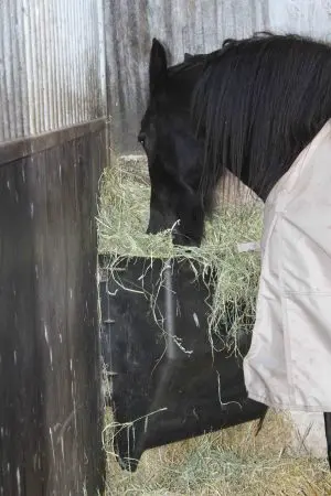 Hooi Feeder 200 l kunststof (vervanger voor Hay Bar) - Afbeelding 4