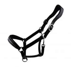Bridle2Fit | Anatomisch lederen halster