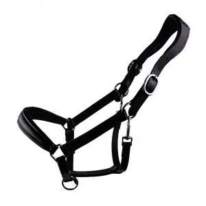 Bridle2Fit | Anatomisch lederen halster