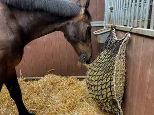 Hay Slowfeeder net 10 kg (5 mm dik, maaswijdte 60/45 mm) - Afbeelding 2
