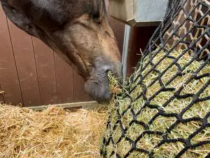 Hay Slowfeeder net 10 kg (5 mm dik, maaswijdte 60/45 mm) - Afbeelding 3