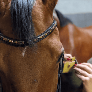 Aanmeten B2F hoofdstel | pasconsult