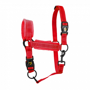 Excellent Superior Halster - Afbeelding 2