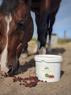 Paard & Gezondheid Rozenbottels 1kg - Afbeelding 2