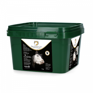 Equi Dental Care Emmer