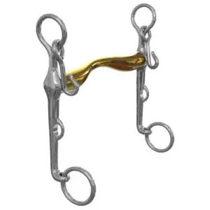 Neue Schule bit | Aachen |  Weymouth stang