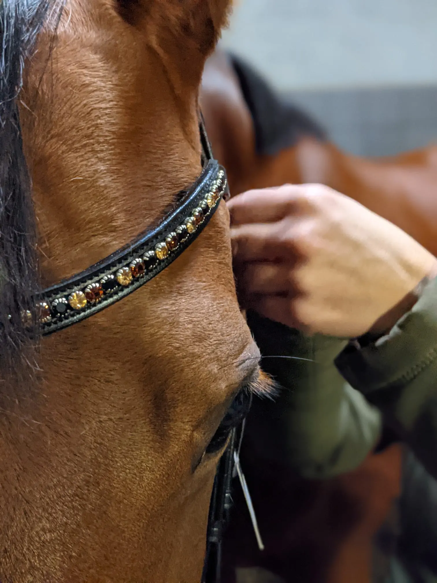 Bridle2fit hoofdstel aan meten