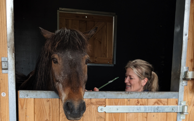 Stefanie van Horsenergy en haar ervaring met de Lecher-Antenne.
