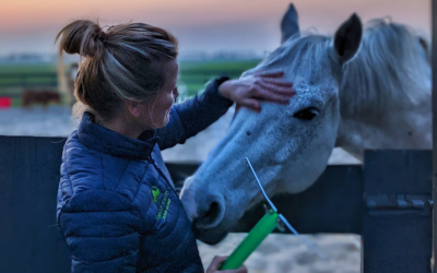 De Lecher-antenne, wat het voor jouw paard kan betekenen