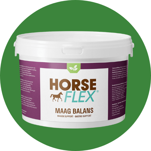 Maagzweren bij je paard. Horseflex maag balans