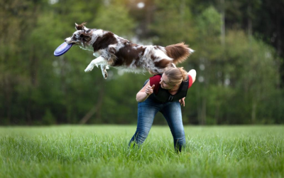 Robin Ann liet haar hond doormeten doormiddel van de Lecher-antenne en kreeg haar ‘blije-ei’ terug!