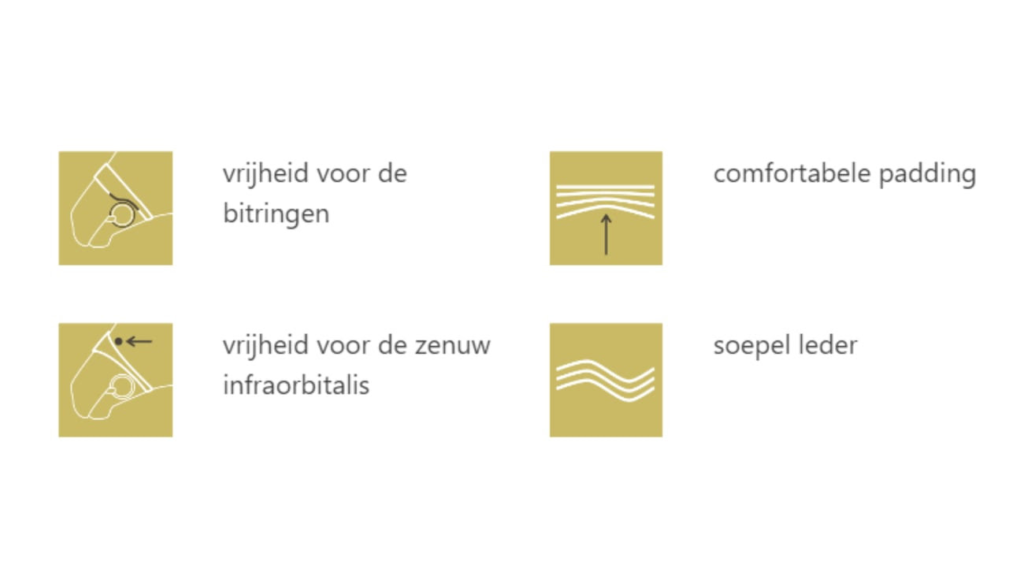Hoofdstel belangrijkste knelpunten