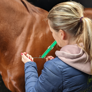 Controle meting Lecher-antenne | Paard/Pony