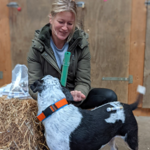 Meting Lecher-antenne | Hond/Kat