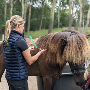 Meting Lecher-antenne | kort Paard