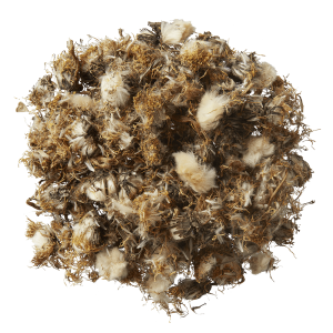 Horseflex | Gedroogde kruiden | Paardenbloem 800gram - Afbeelding 2