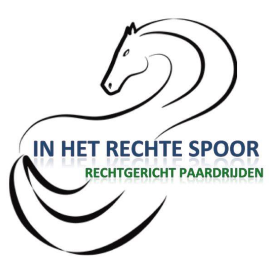 Working Equitation clinic , gegeven door Karin Degeling | In het Rechte Spoor