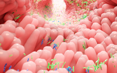 Een gezond microbioom met pre- en probiotica…