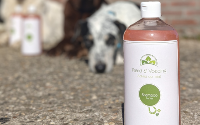 Dé shampoo voor de zomermaanden!
