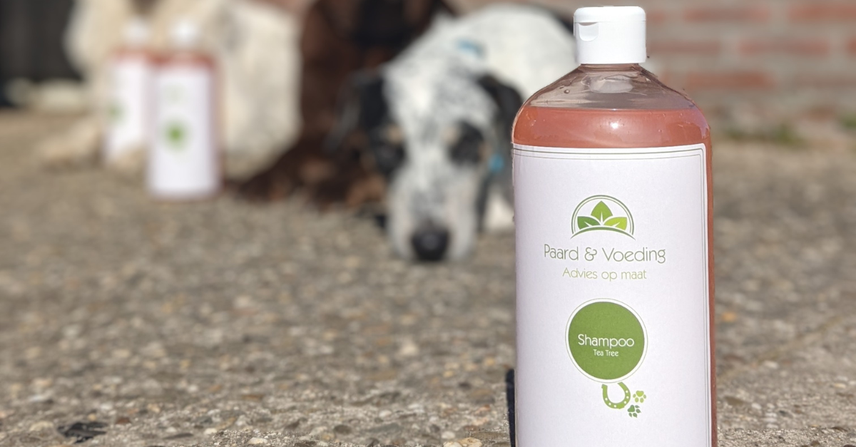 Paard en voeding Tea tree (1)