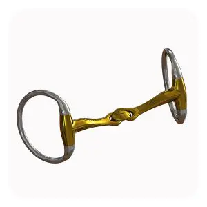 Neue Schule bit | Bustrens | Turtle Tactio