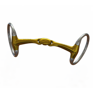 Neue Schule bit | Bustrens | Turtle Top