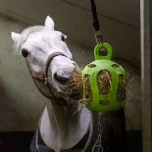 Slowfeeder | Jolly Bal | Groen - Afbeelding 3