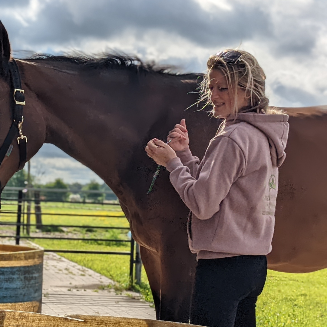 Lezing Paard & Vitaliteit | Een uitgemeten rantsoen doormiddel van een algehele gezondheidscheck