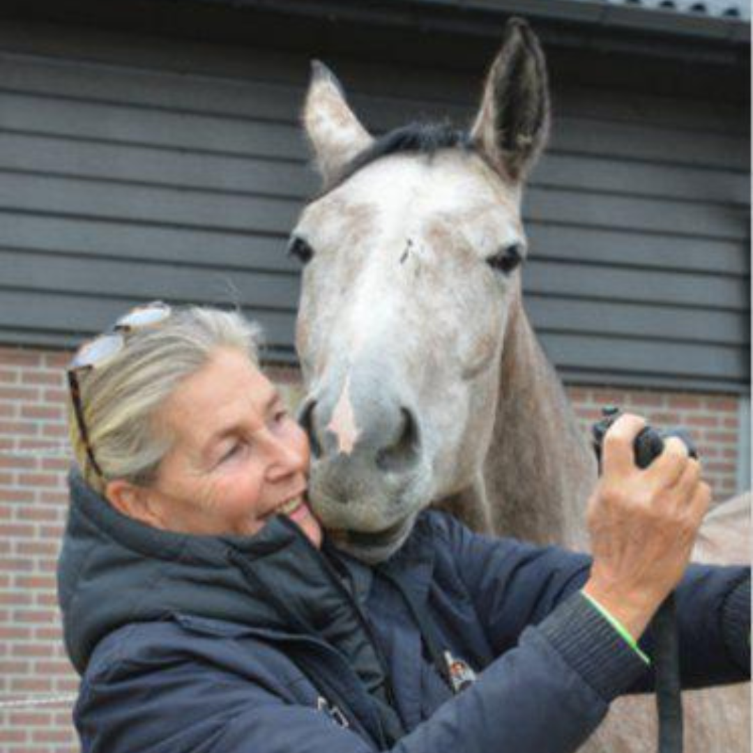 Lezing Paard & Vitaliteit | 14 Mei | Annette Timmer en de bijzondere wereld van het paardenoog - Afbeelding 2