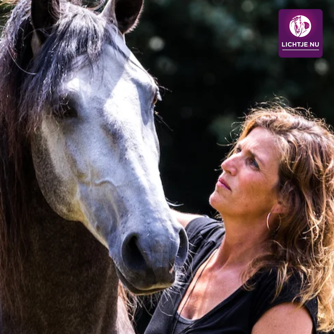 Lezing Paard & Vitaliteit | 30 Juni | Een inspirerende dag met Katinka Manders | leer meer over de impact van de onbewuste “ballast” van de eigenaar naar het paard.