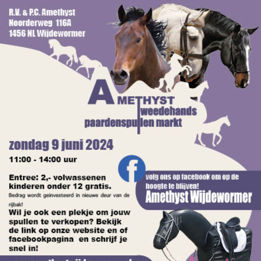 Tweedehands paardenspullen markt Amethyst Wijdewormer
