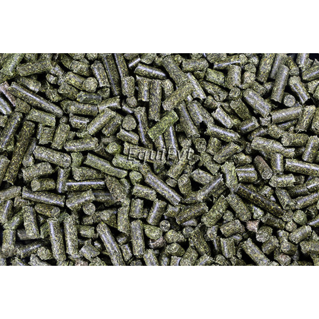 Equifyt | Sainfoin Esparcette Cubes | 20kg - Afbeelding 2