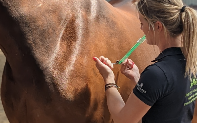 Werking van de Lecher-antenne bij paarden