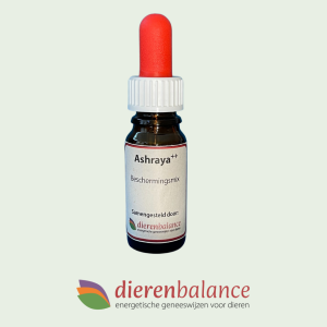 Dierenbalance | Ashraya++ mix | 10ml