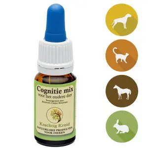 Krachtig Kruid | Cognitie mix | 10 - 30ml