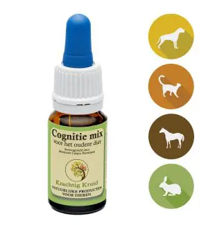 Krachtig Kruid | Cognitie mix | 10 - 30ml