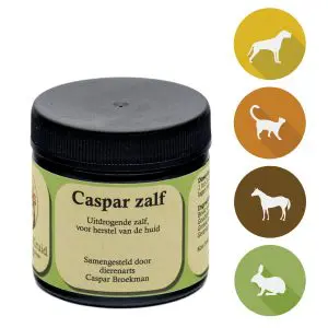 Krachtig Kruid | Caspar zalf