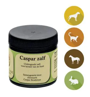 Krachtig Kruid | Caspar zalf