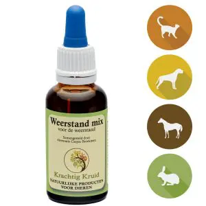 Krachtig Kruid | Weerstand mix | 10ml - 30ml