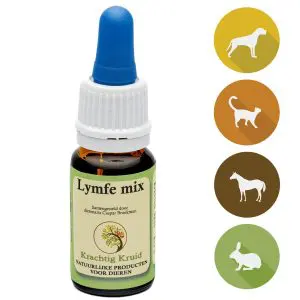 Krachtig Kruid | Lymfe mix | 10ml
