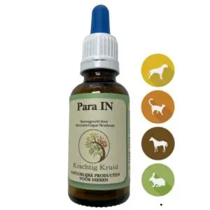 Krachtig Kruid | Para IN | 10ml - 30ml - 100ml