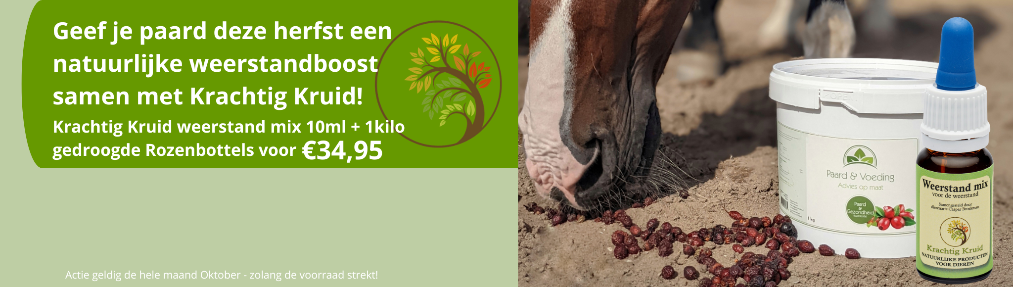 Actie maand oktober