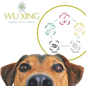 Wu Xing Vijf elementen kruiden | Hond