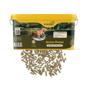 Marstall | Amino-Muskel Plus | 3,5kg - 10kg
