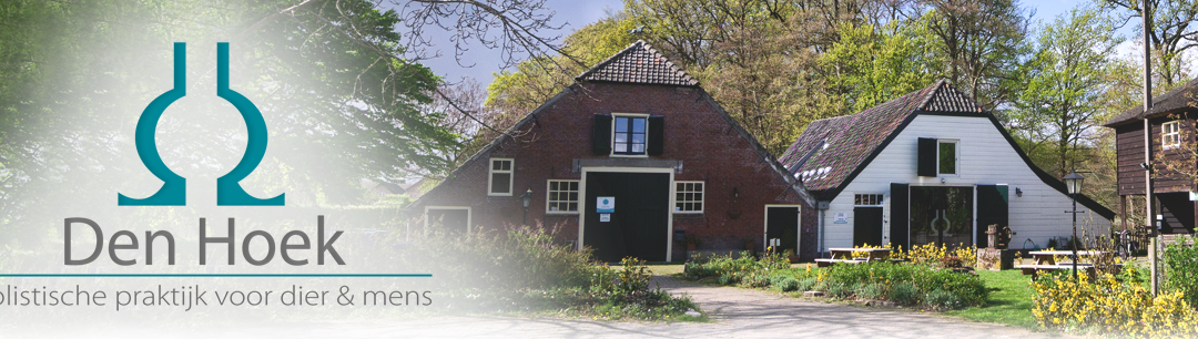 Kelly van Prooijen aan het woord van Den Hoek Holistische praktijk voor dier & mens